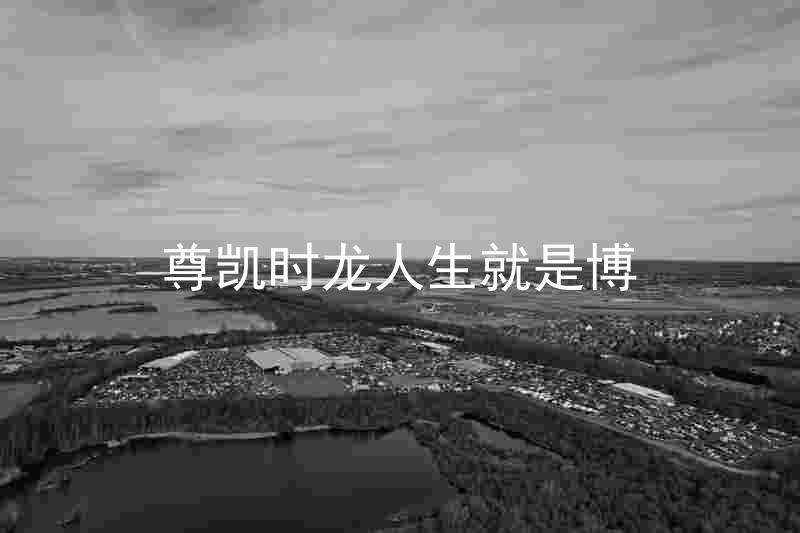 尊凯时龙人生就是博