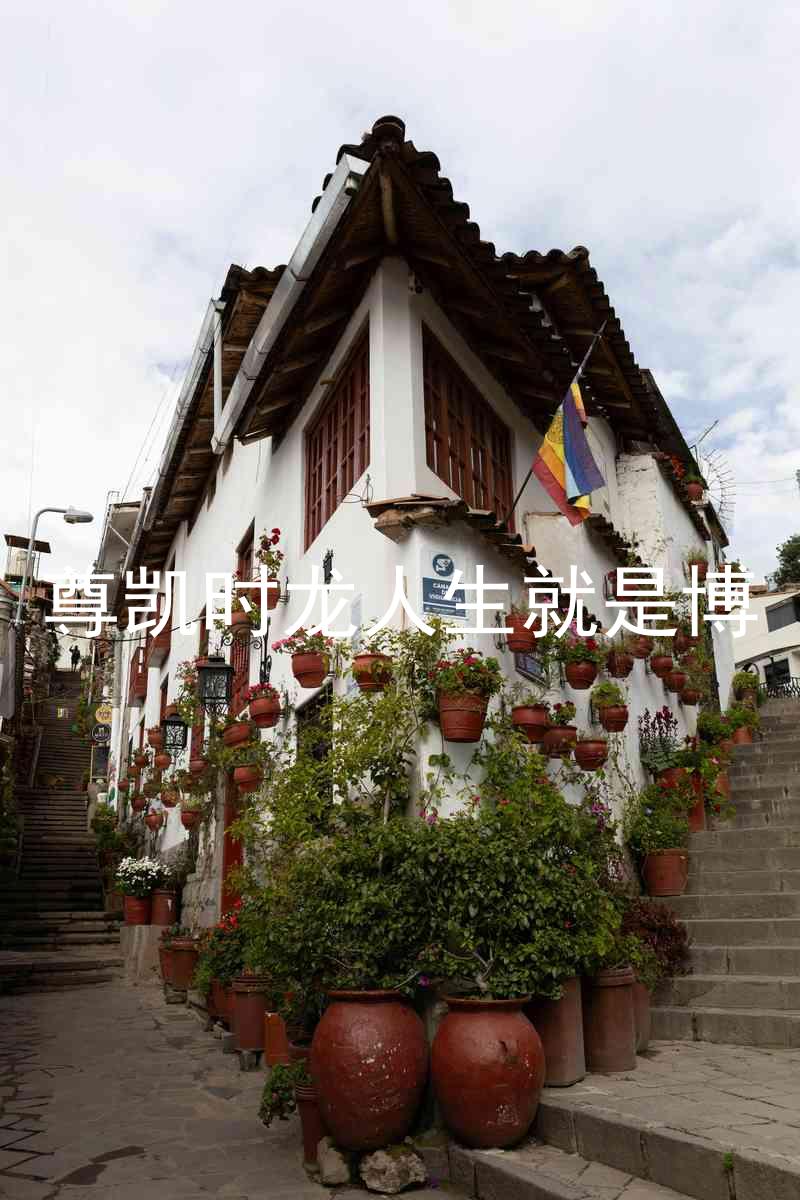 尊凯时龙人生就是博