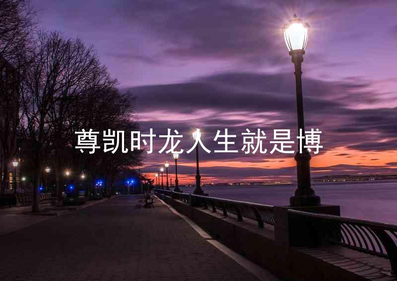 尊凯时龙人生就是博