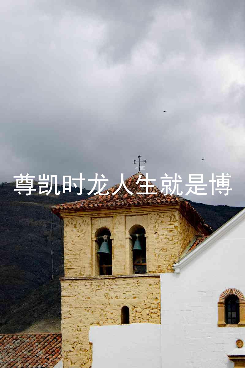 尊凯时龙人生就是博