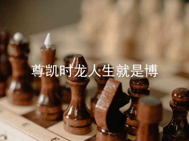 尊凯时龙人生就是博